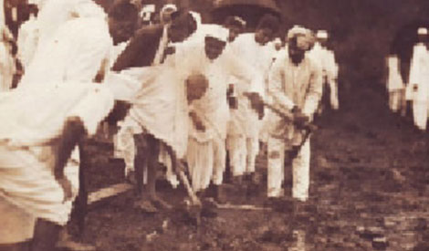 Tree Planted by Mahatma Gandhi