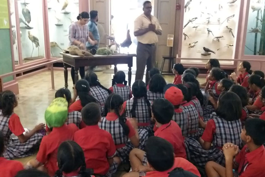 School Tour Memory 15